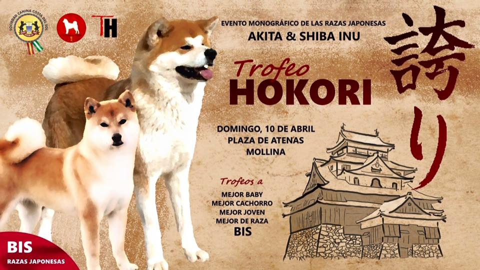 10/04/15 – II Trofeo Hokori