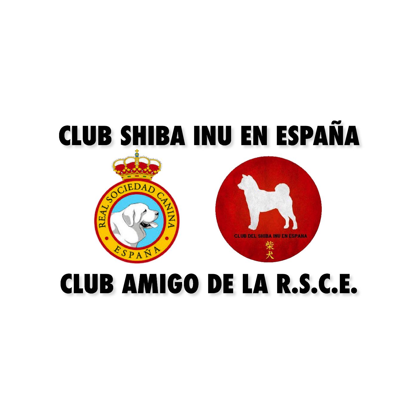 Club Amigo de la RSCE