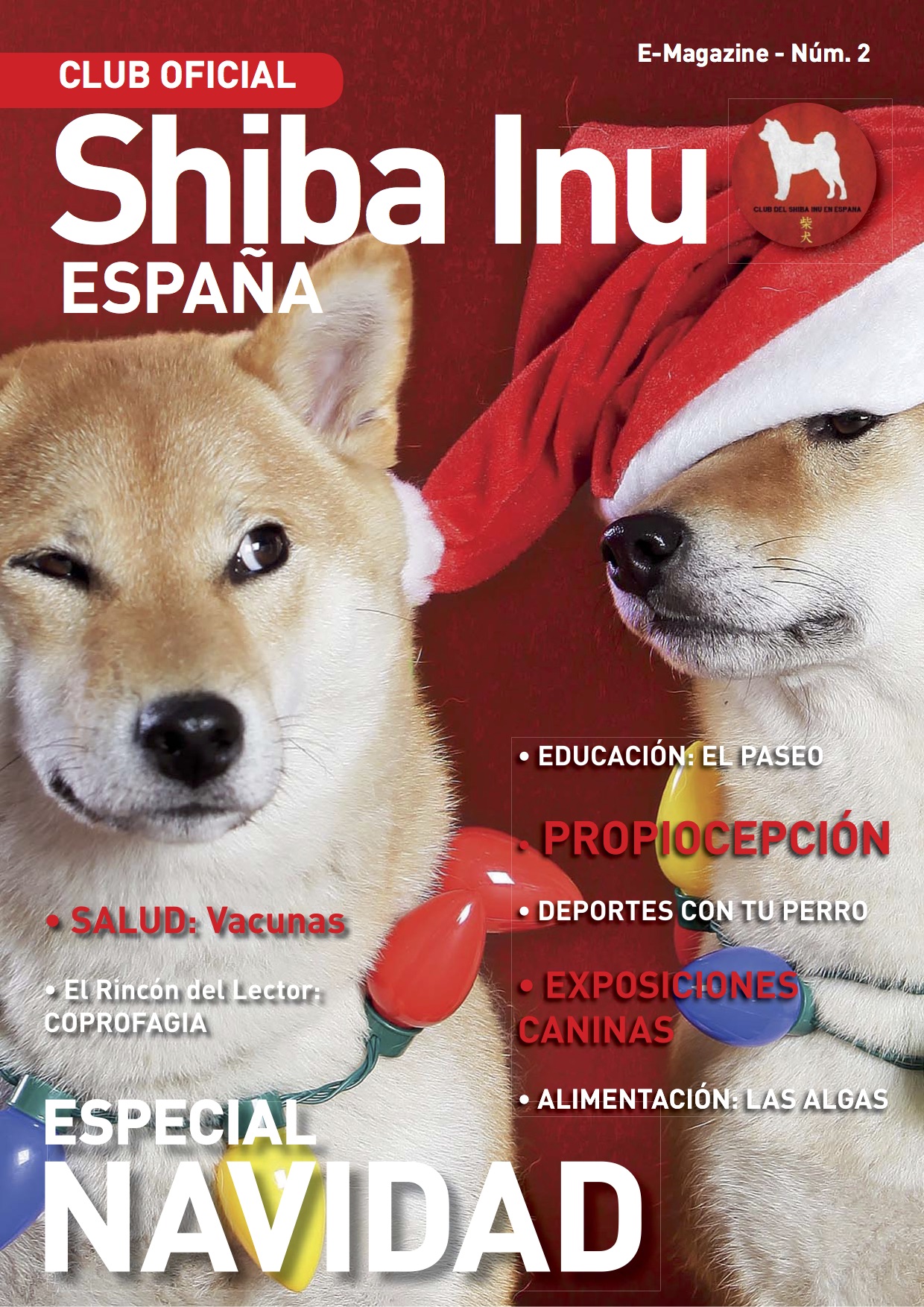 eMagazine Nº02 – Diciembre 2.016