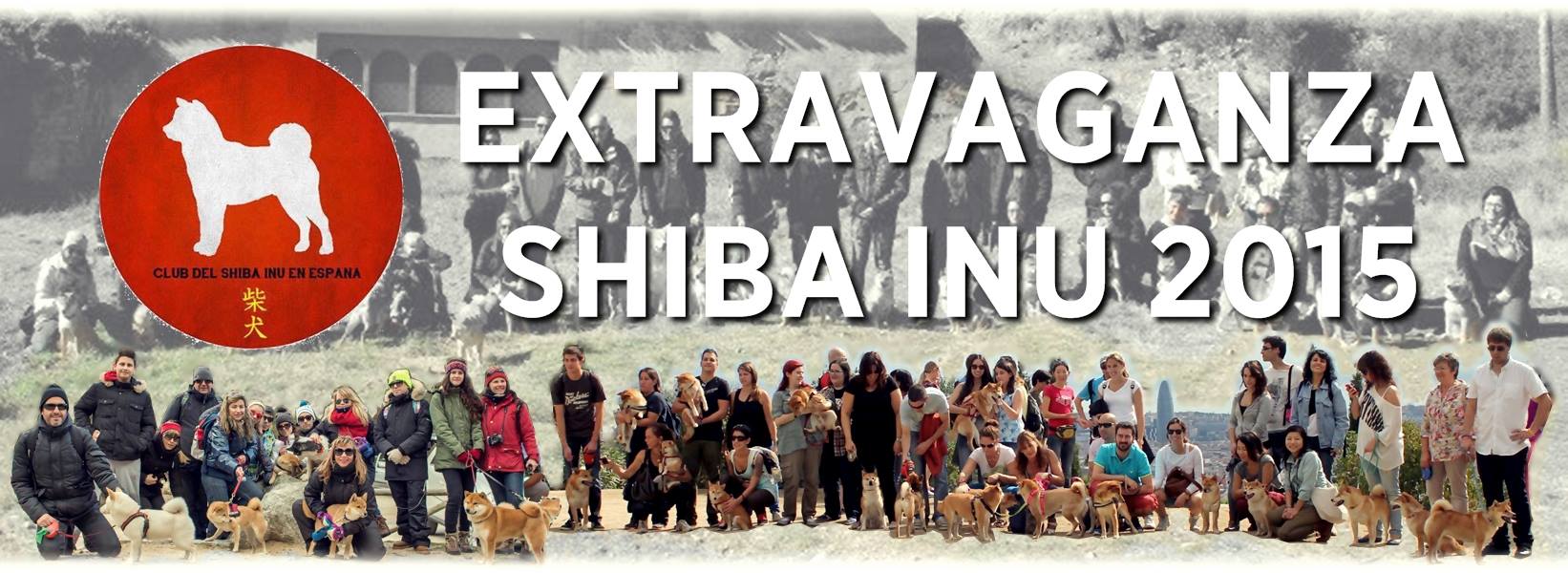 18/10/15 – Extravaganza Shiba Inu 2105