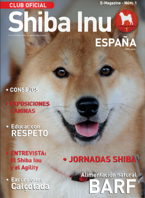 eMagazine Nº1 – Abril 2.016