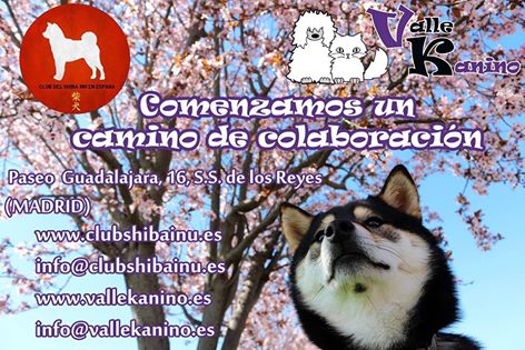 17/04/16 – Sesiones de educación canina